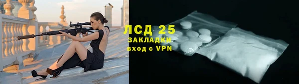 гидра Алексеевка