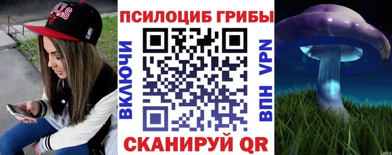 Галлюциногенные грибы мицелий  Благовещенск 